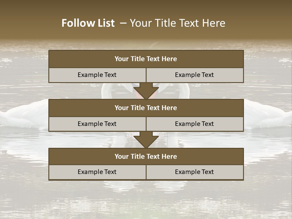 Swans Love PowerPoint Template