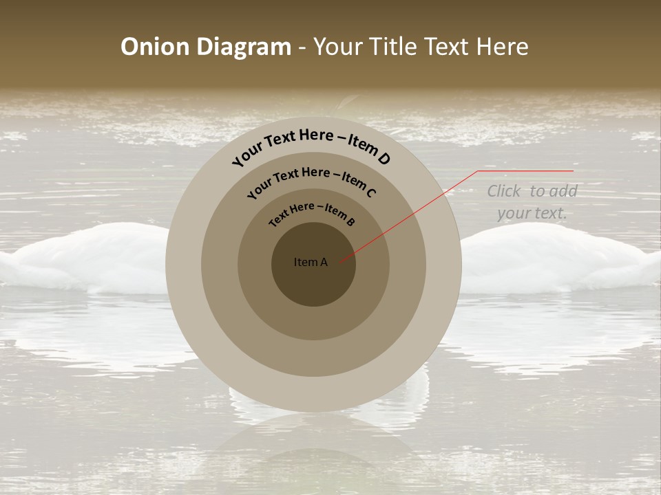 Swans Love PowerPoint Template