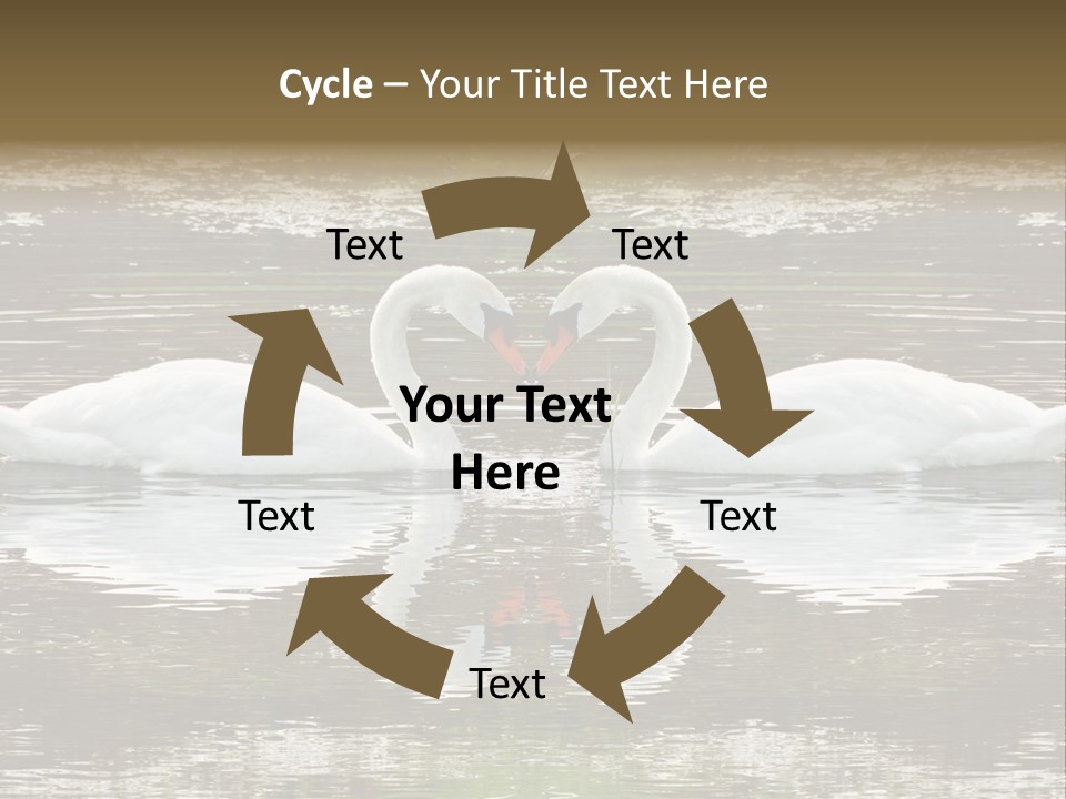 Swans Love PowerPoint Template
