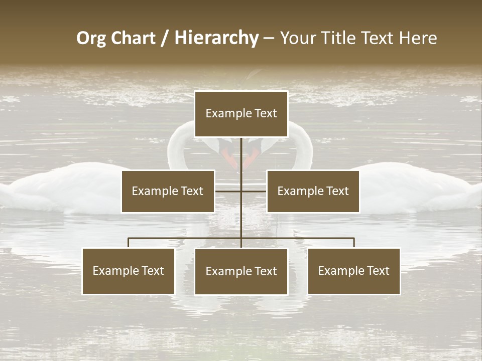 Swans Love PowerPoint Template