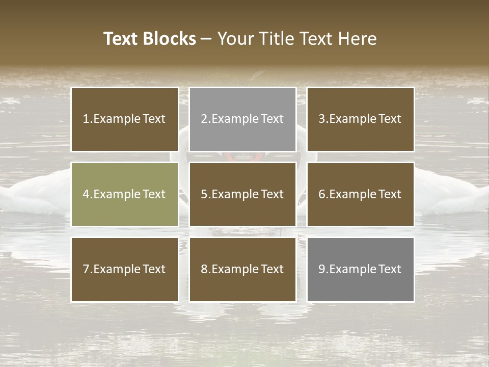 Swans Love PowerPoint Template