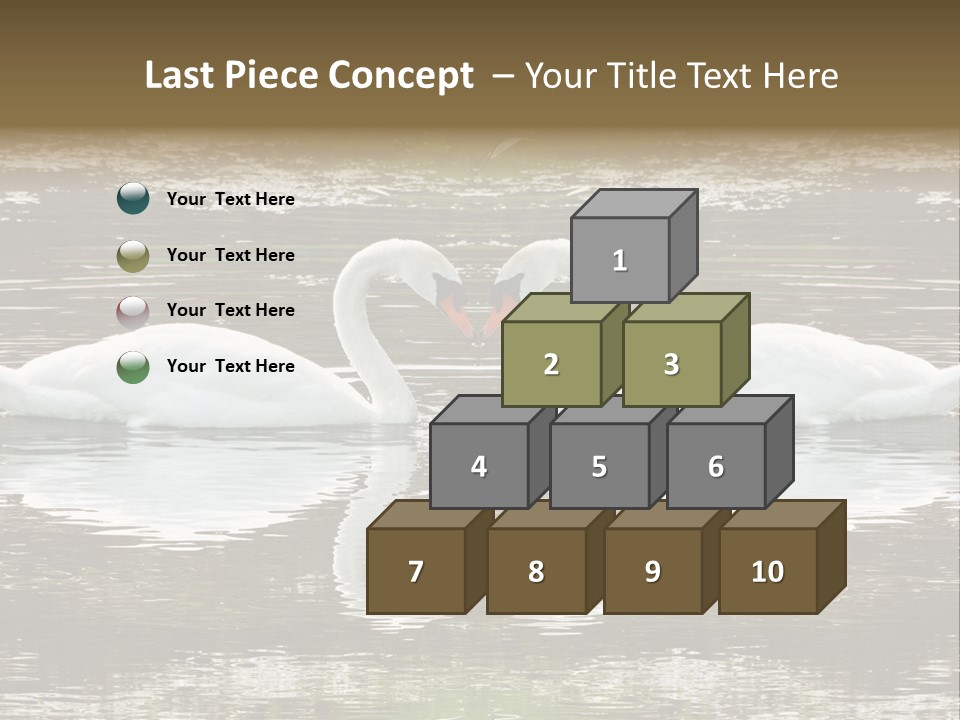 Swans Love PowerPoint Template