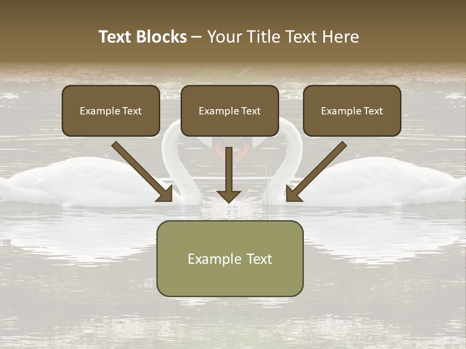 Swans Love PowerPoint Template