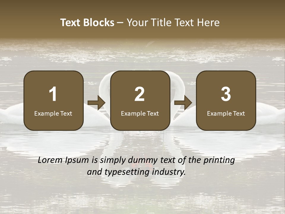 Swans Love PowerPoint Template