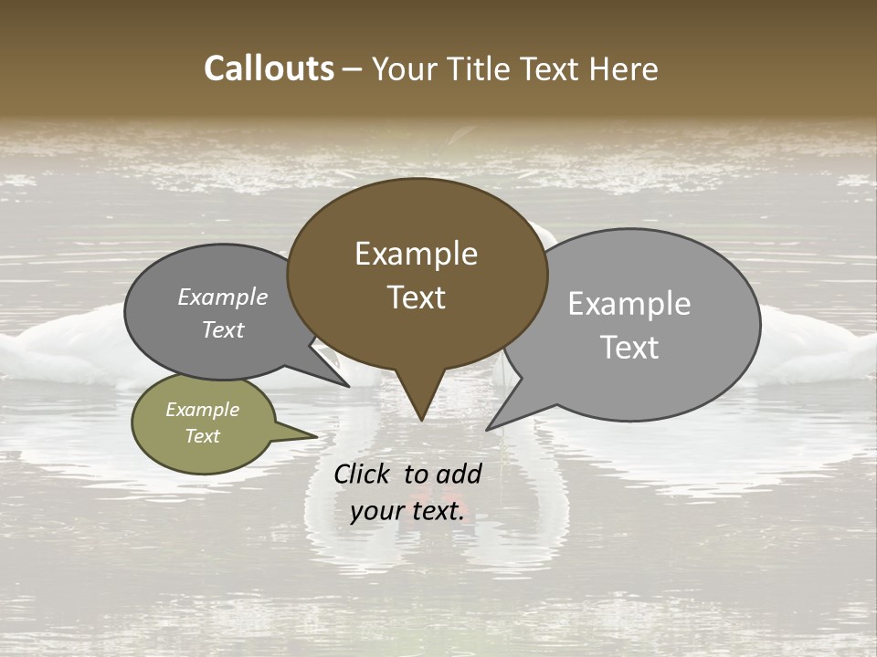 Swans Love PowerPoint Template