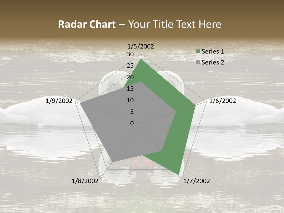 Swans Love PowerPoint Template