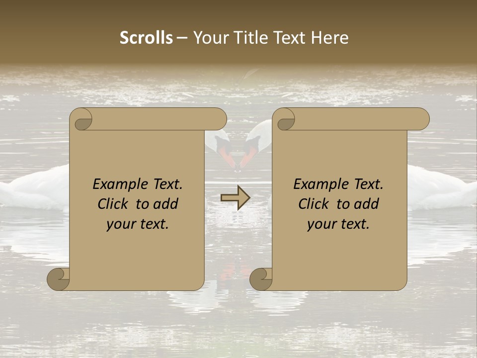 Swans Love PowerPoint Template