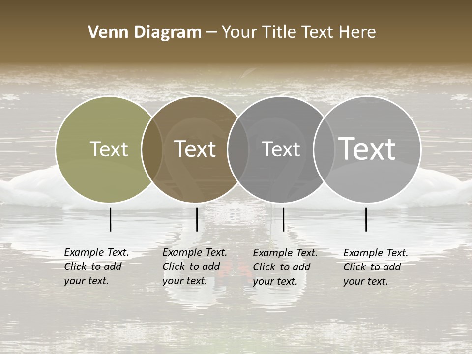 Swans Love PowerPoint Template