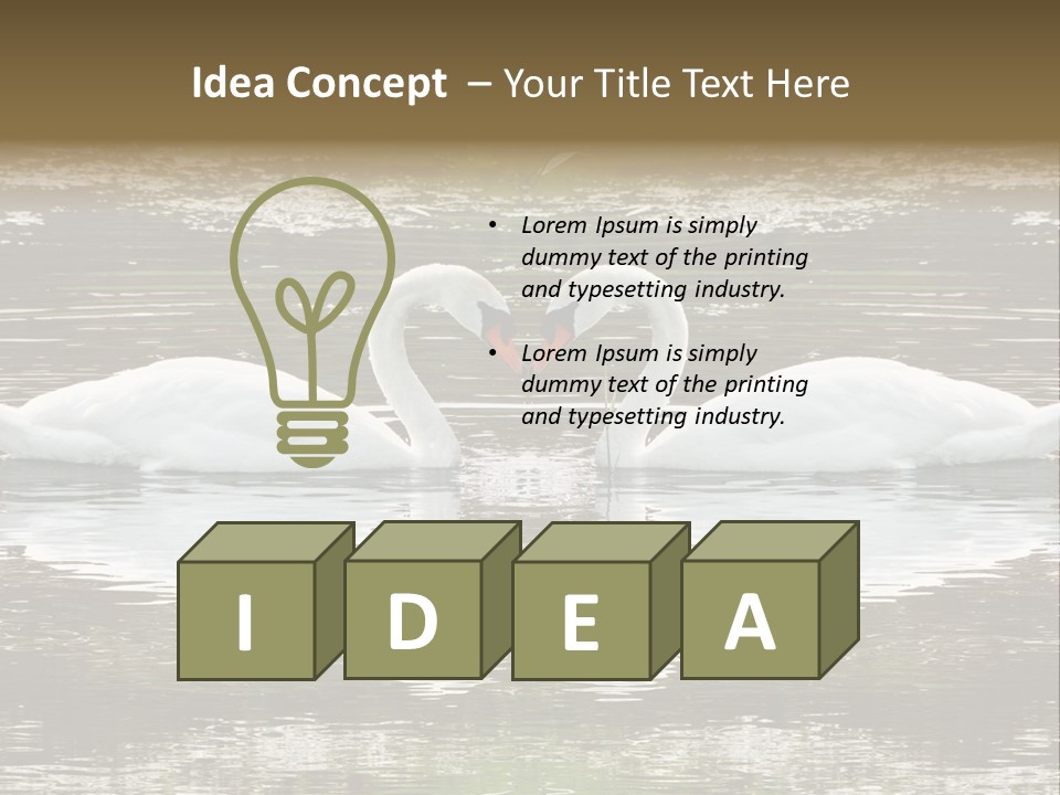 Swans Love PowerPoint Template