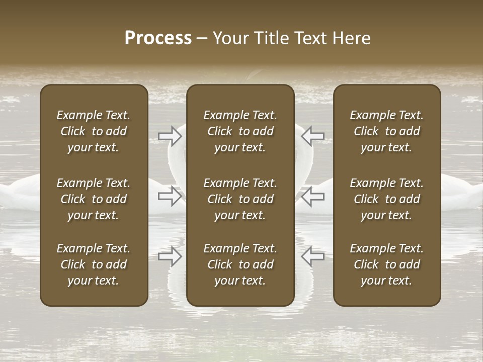 Swans Love PowerPoint Template