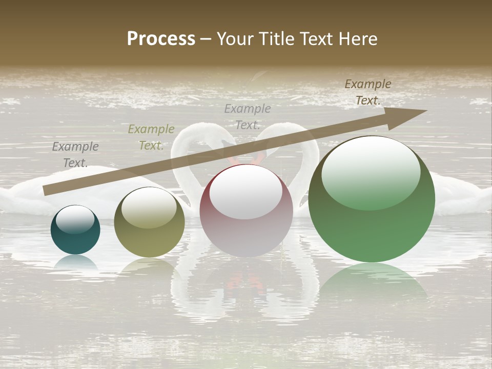 Swans Love PowerPoint Template