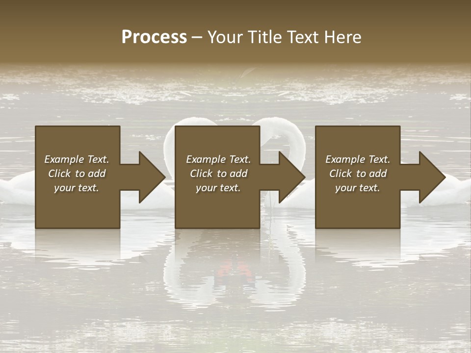 Swans Love PowerPoint Template