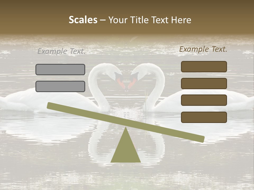 Swans Love PowerPoint Template