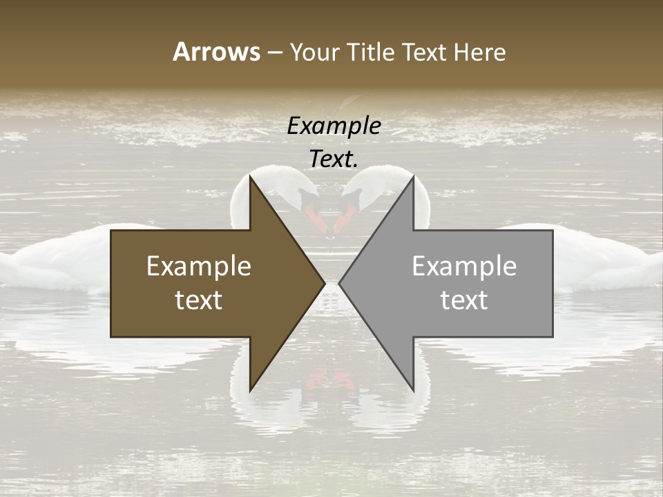 Swans Love PowerPoint Template