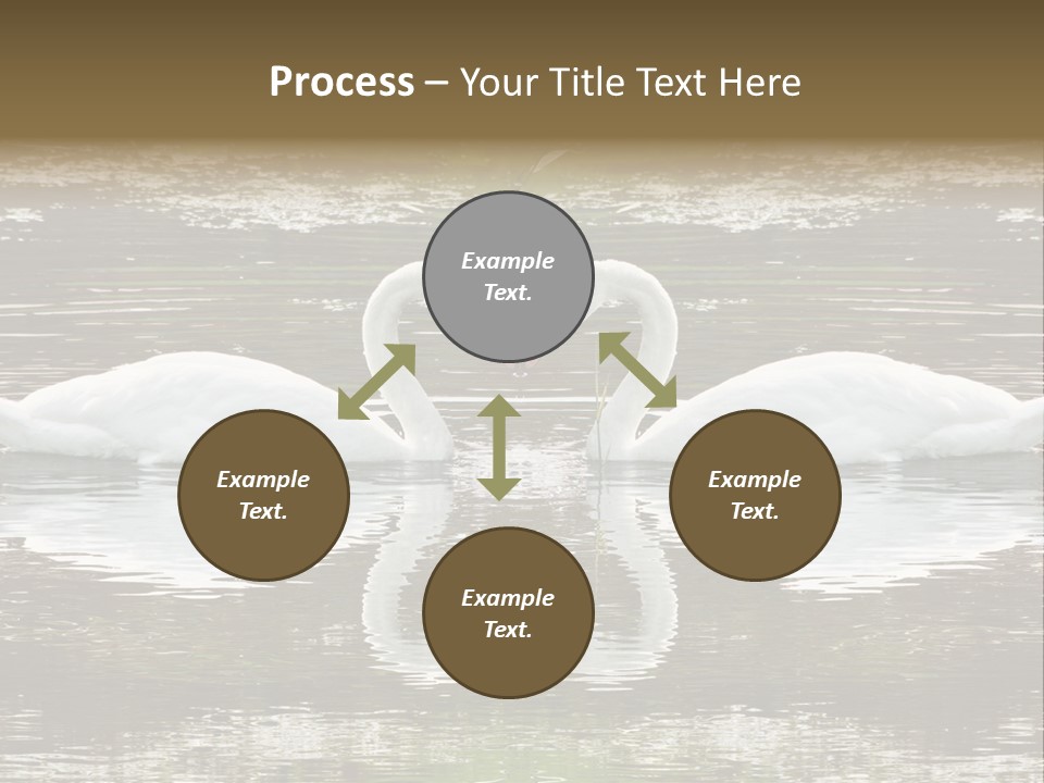 Swans Love PowerPoint Template