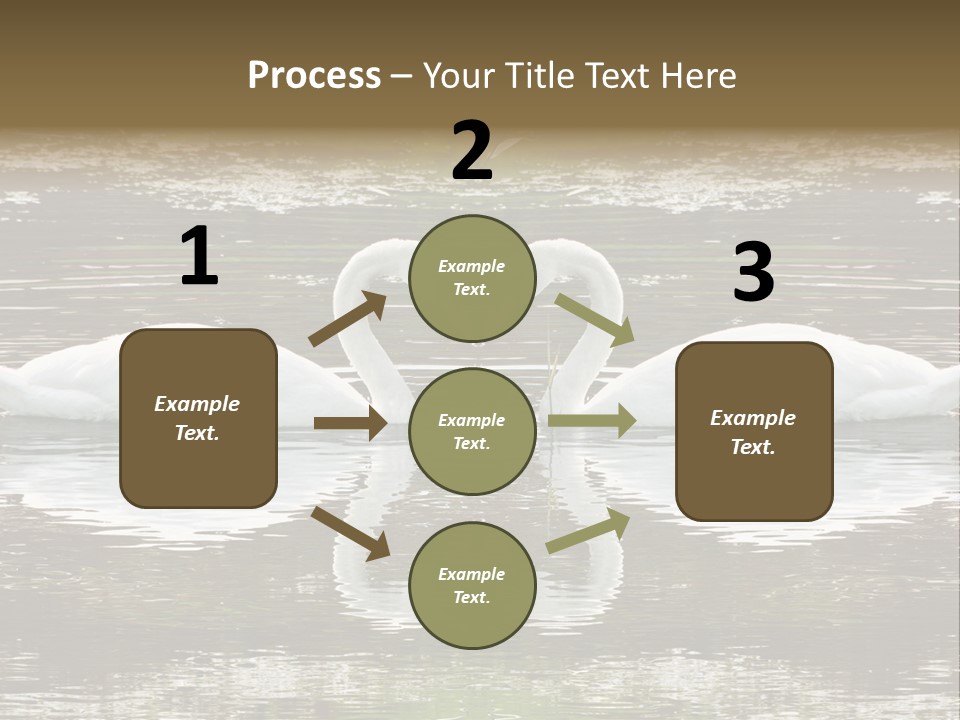 Swans Love PowerPoint Template