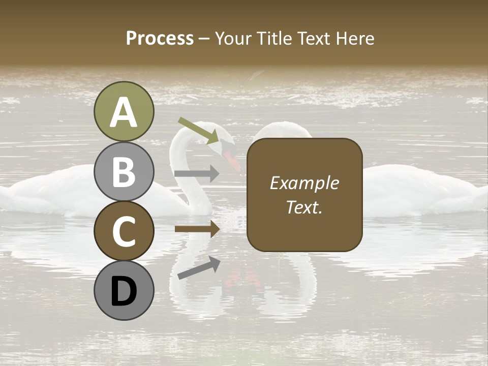 Swans Love PowerPoint Template