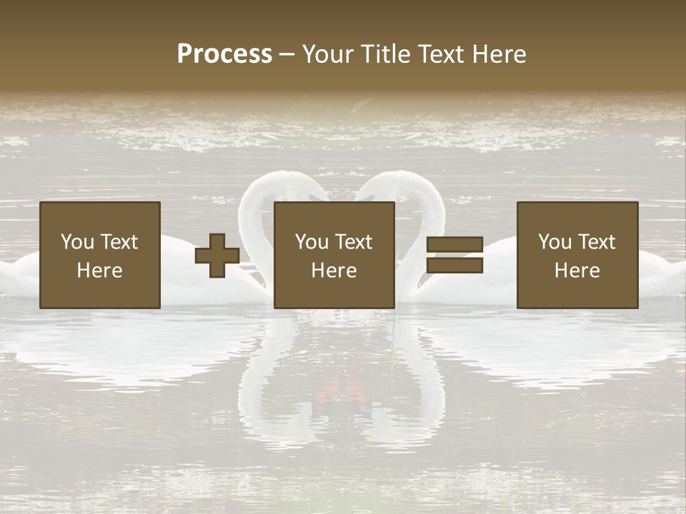 Swans Love PowerPoint Template