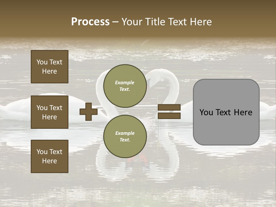 Swans Love PowerPoint Template