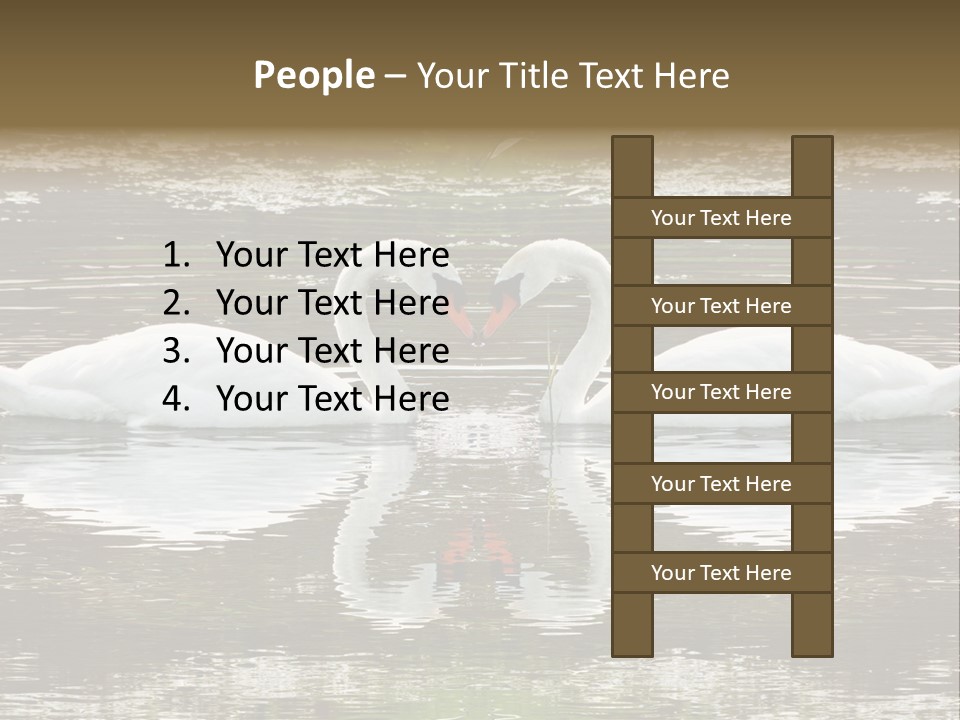 Swans Love PowerPoint Template