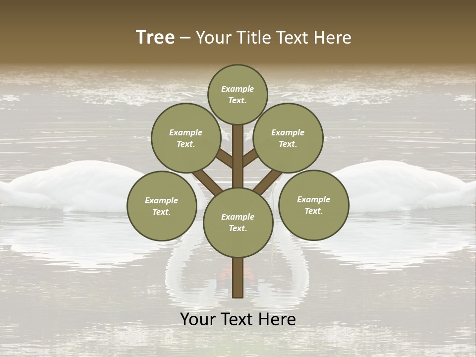 Swans Love PowerPoint Template