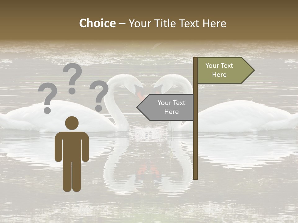 Swans Love PowerPoint Template
