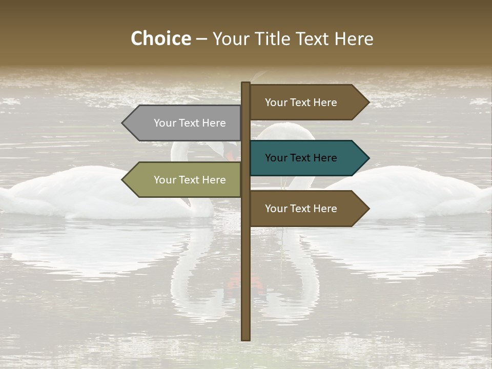 Swans Love PowerPoint Template