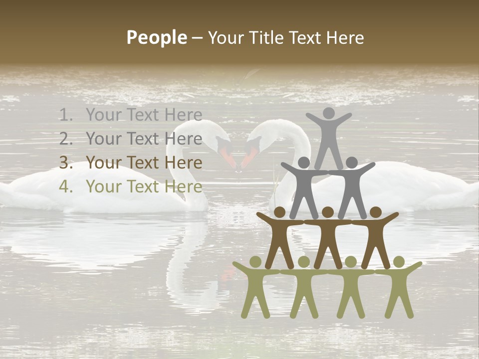 Swans Love PowerPoint Template