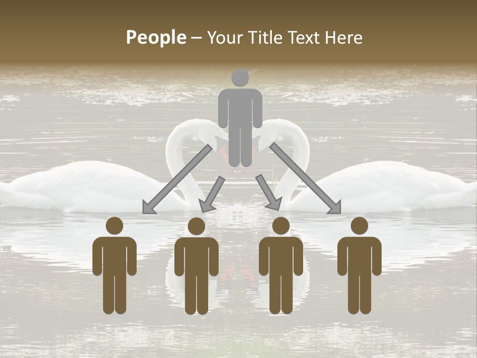 Swans Love PowerPoint Template