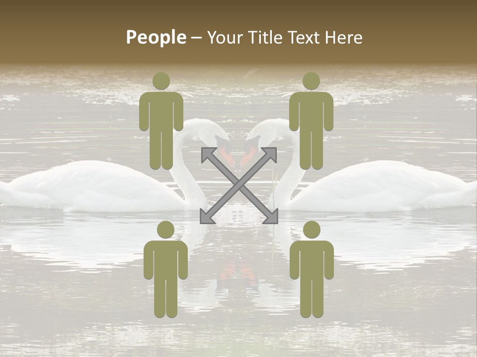 Swans Love PowerPoint Template