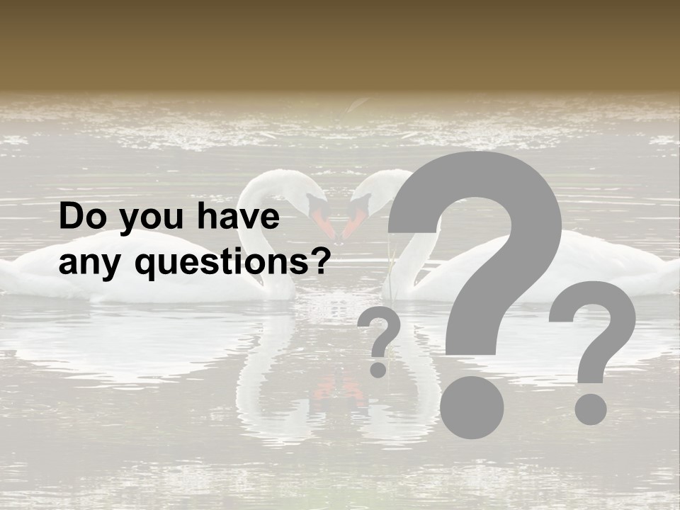 Swans Love PowerPoint Template