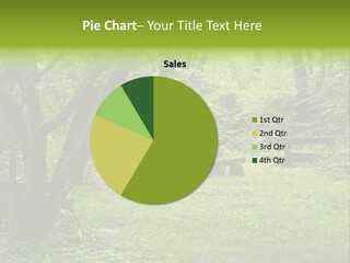 Summer Rest Seat PowerPoint Template