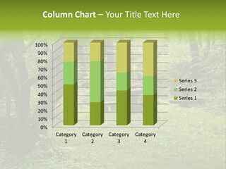 Summer Rest Seat PowerPoint Template