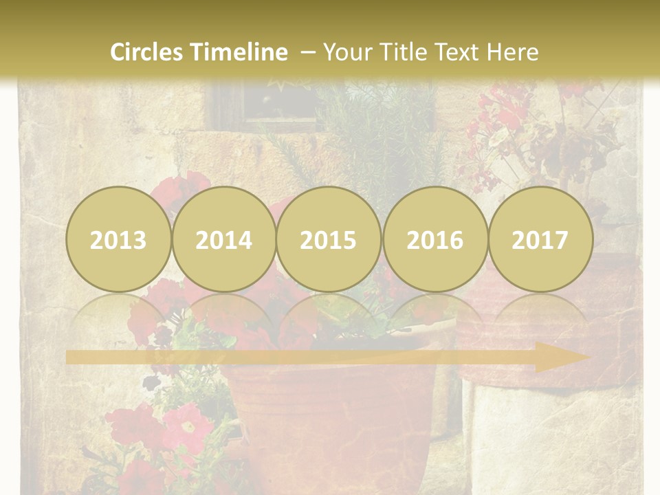 Style Medieval Traditional PowerPoint Template