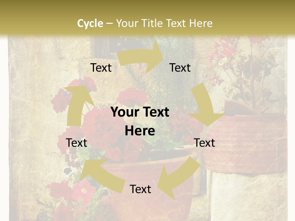 Style Medieval Traditional PowerPoint Template