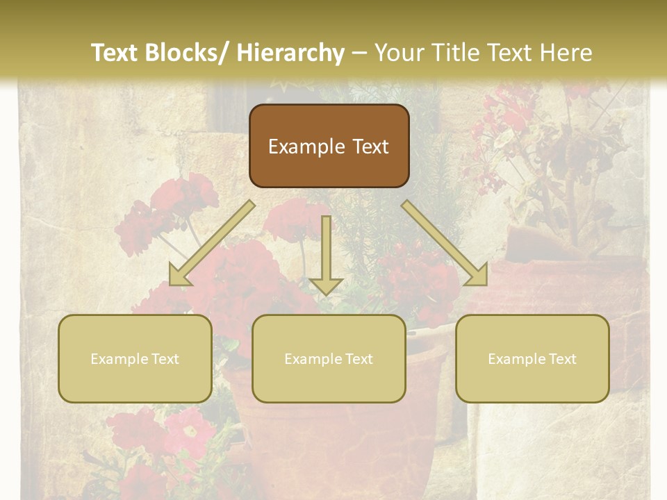 Style Medieval Traditional PowerPoint Template