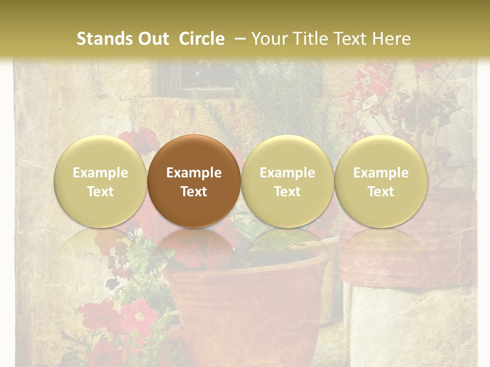 Style Medieval Traditional PowerPoint Template