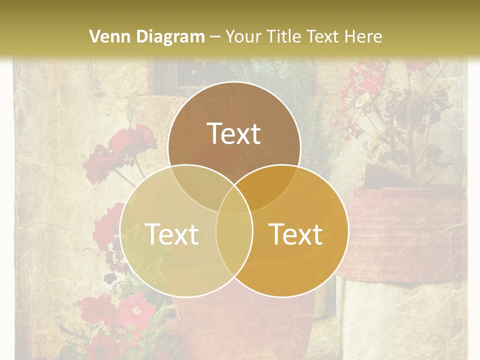 Style Medieval Traditional PowerPoint Template