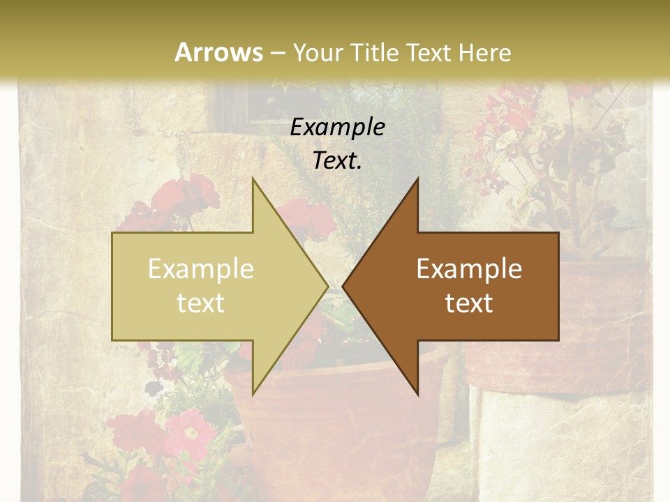 Style Medieval Traditional PowerPoint Template