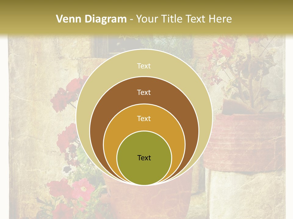 Style Medieval Traditional PowerPoint Template