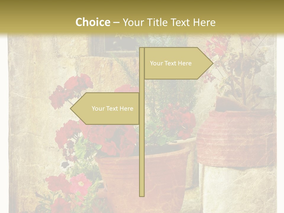Style Medieval Traditional PowerPoint Template