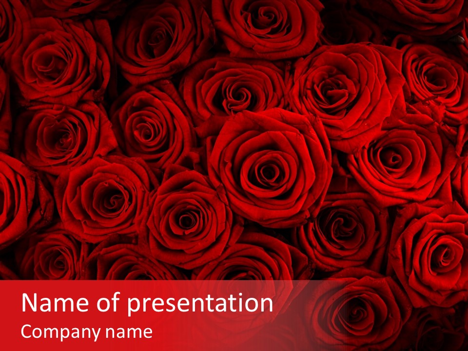 Valentines Offers PowerPoint Template