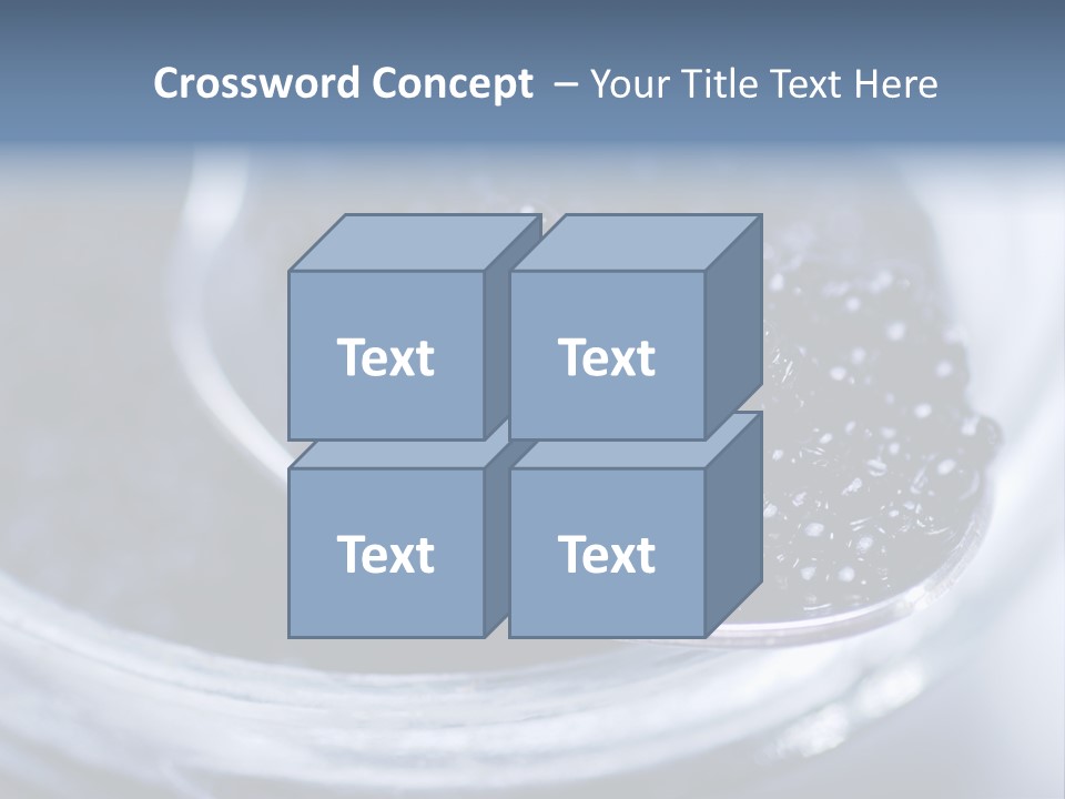 Caviar Close Up PowerPoint Template