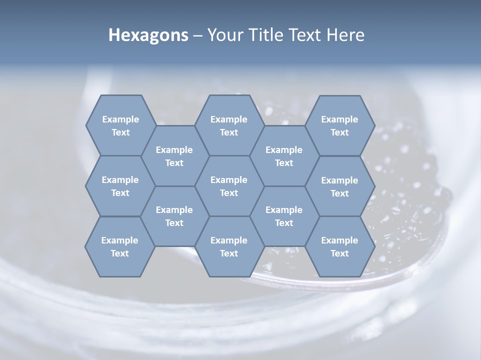 Caviar Close Up PowerPoint Template