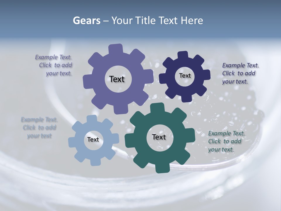 Caviar Close Up PowerPoint Template