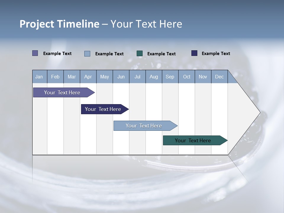 Caviar Close Up PowerPoint Template
