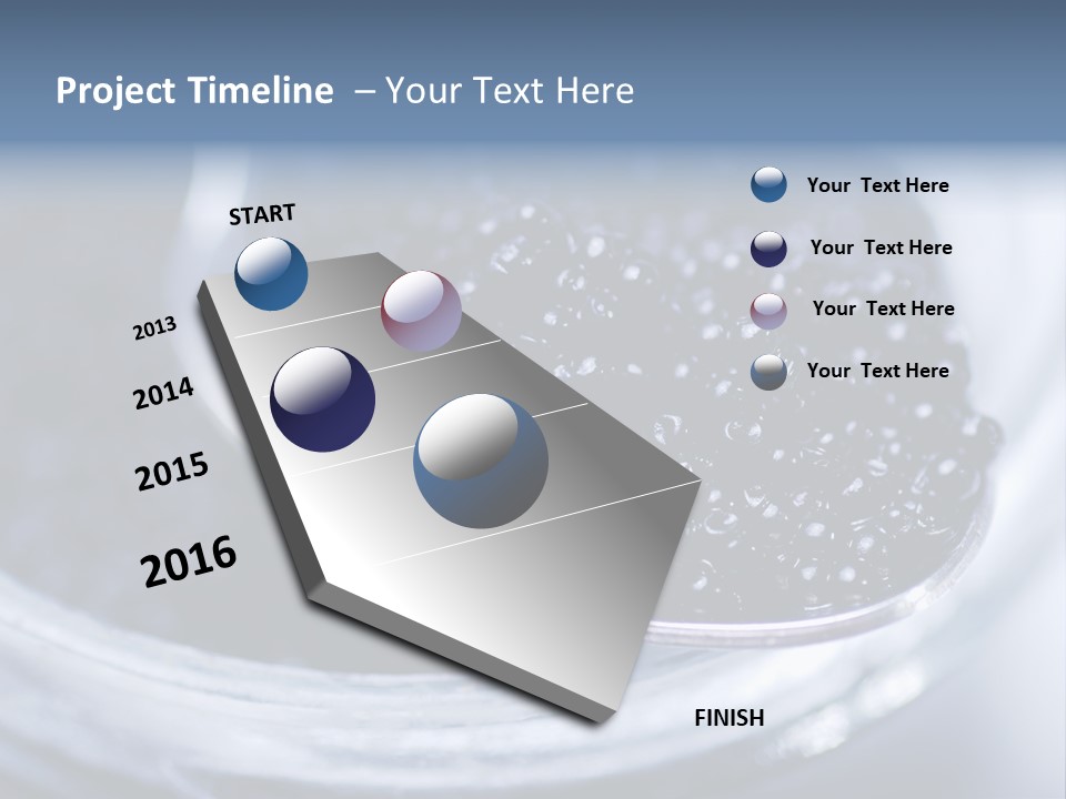 Caviar Close Up PowerPoint Template