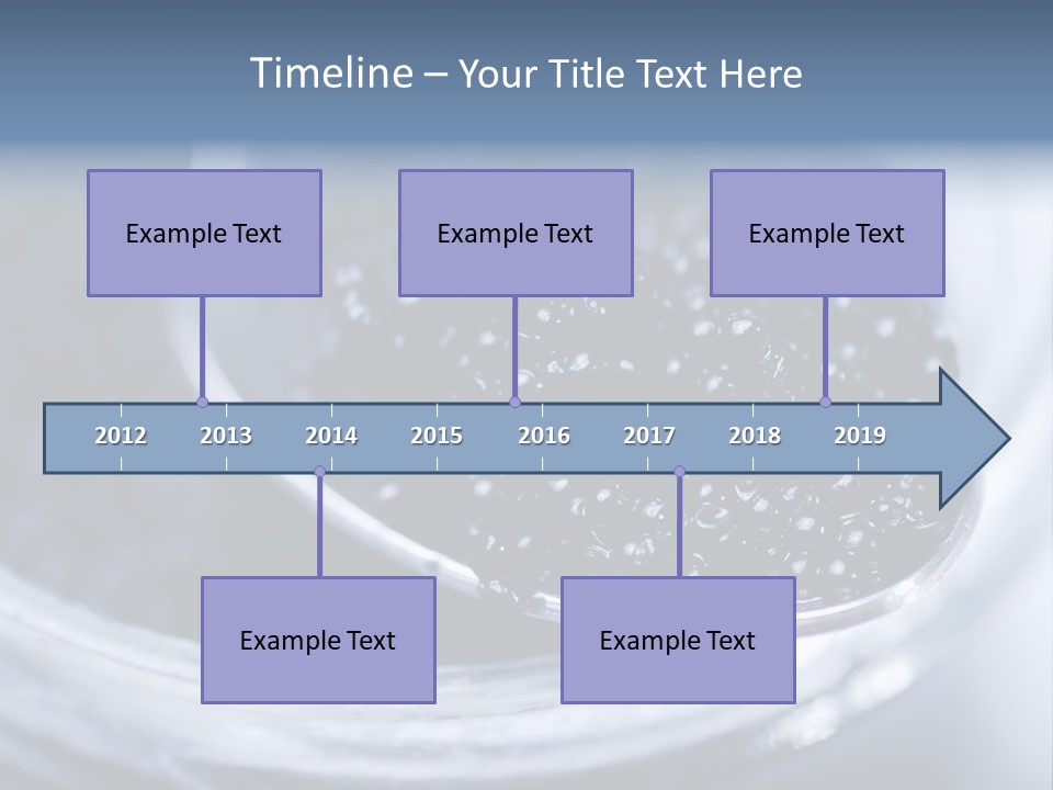 Caviar Close Up PowerPoint Template