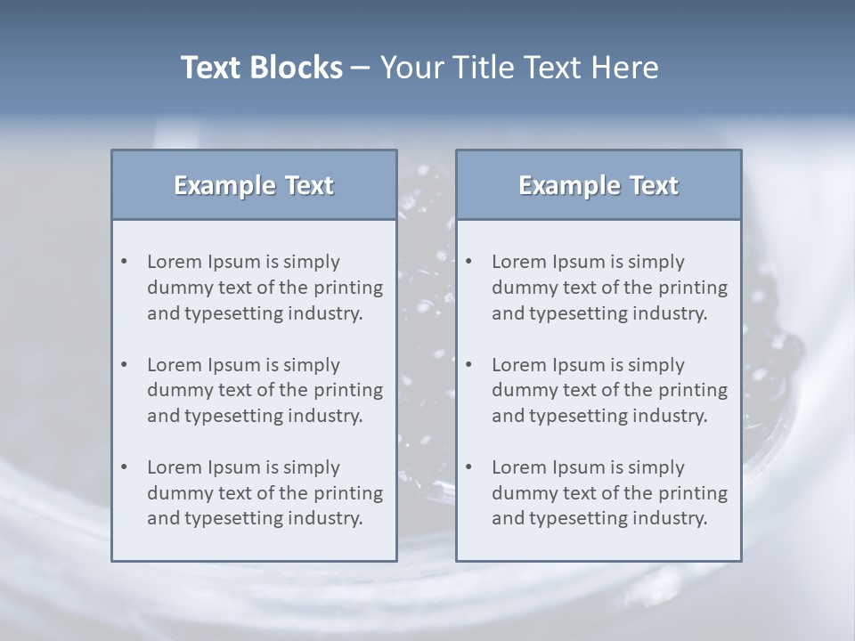 Caviar Close Up PowerPoint Template
