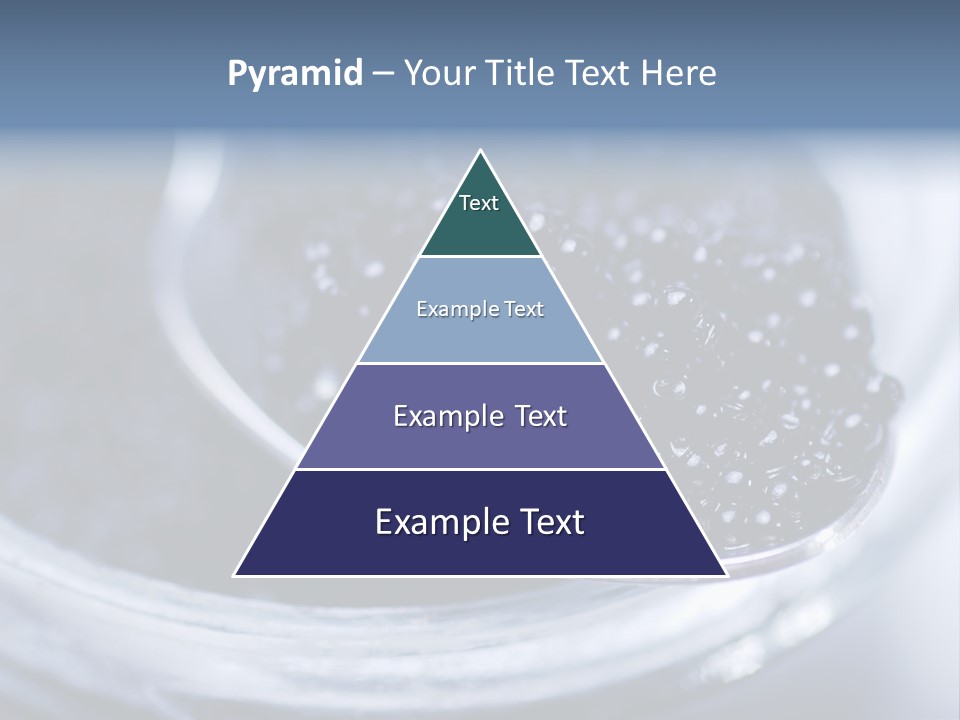 Caviar Close Up PowerPoint Template